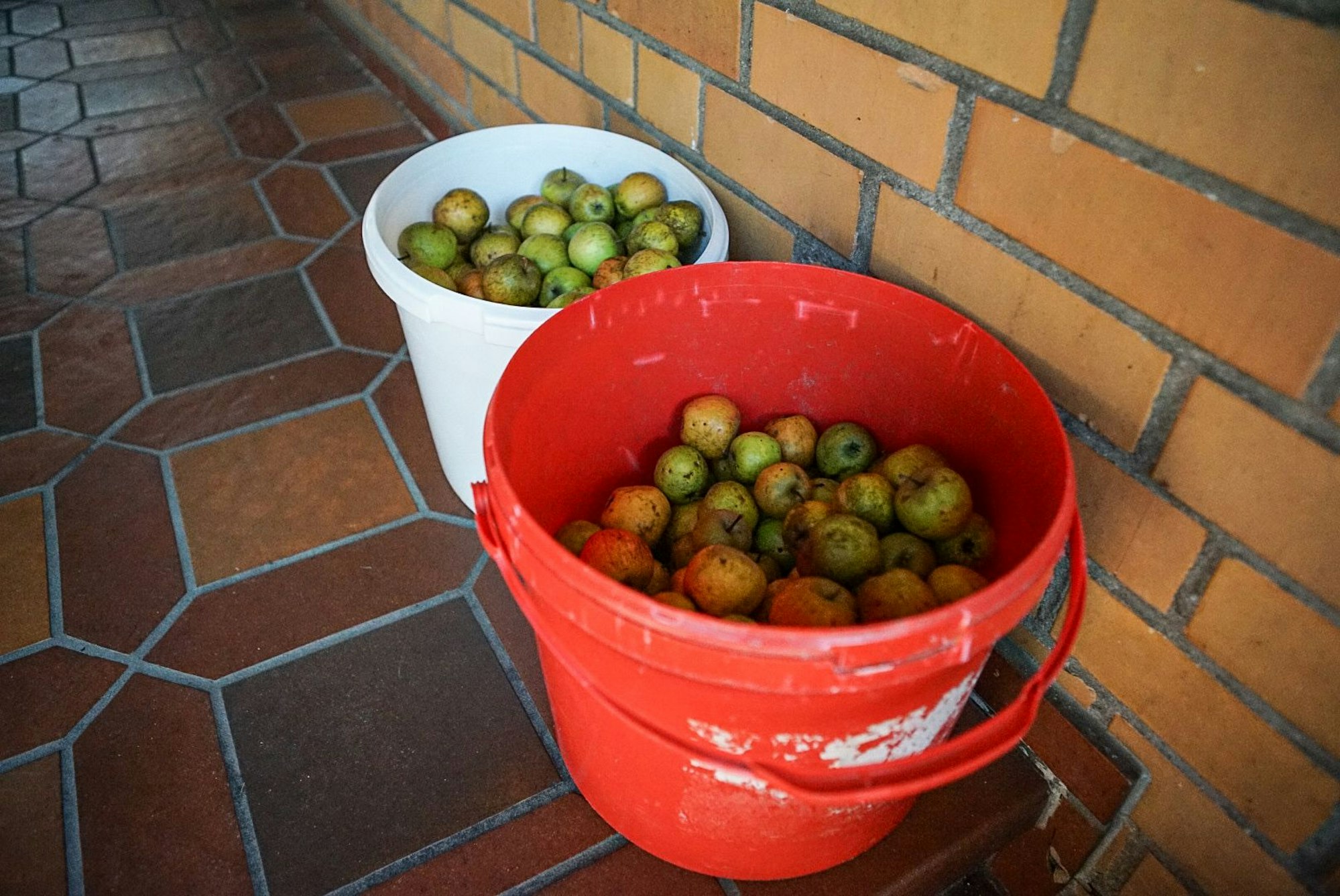 Vor dem Gebäude der Evangelischen Jugend Schlebusch an der Martin-Luther-Straße stapeln sich Eimer voller Äpfel.