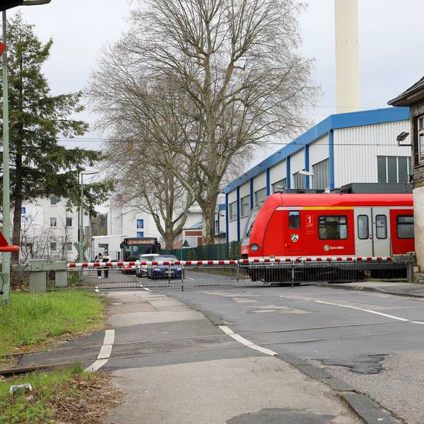 Eine S-Bahn fährt über den Gleisübergang.