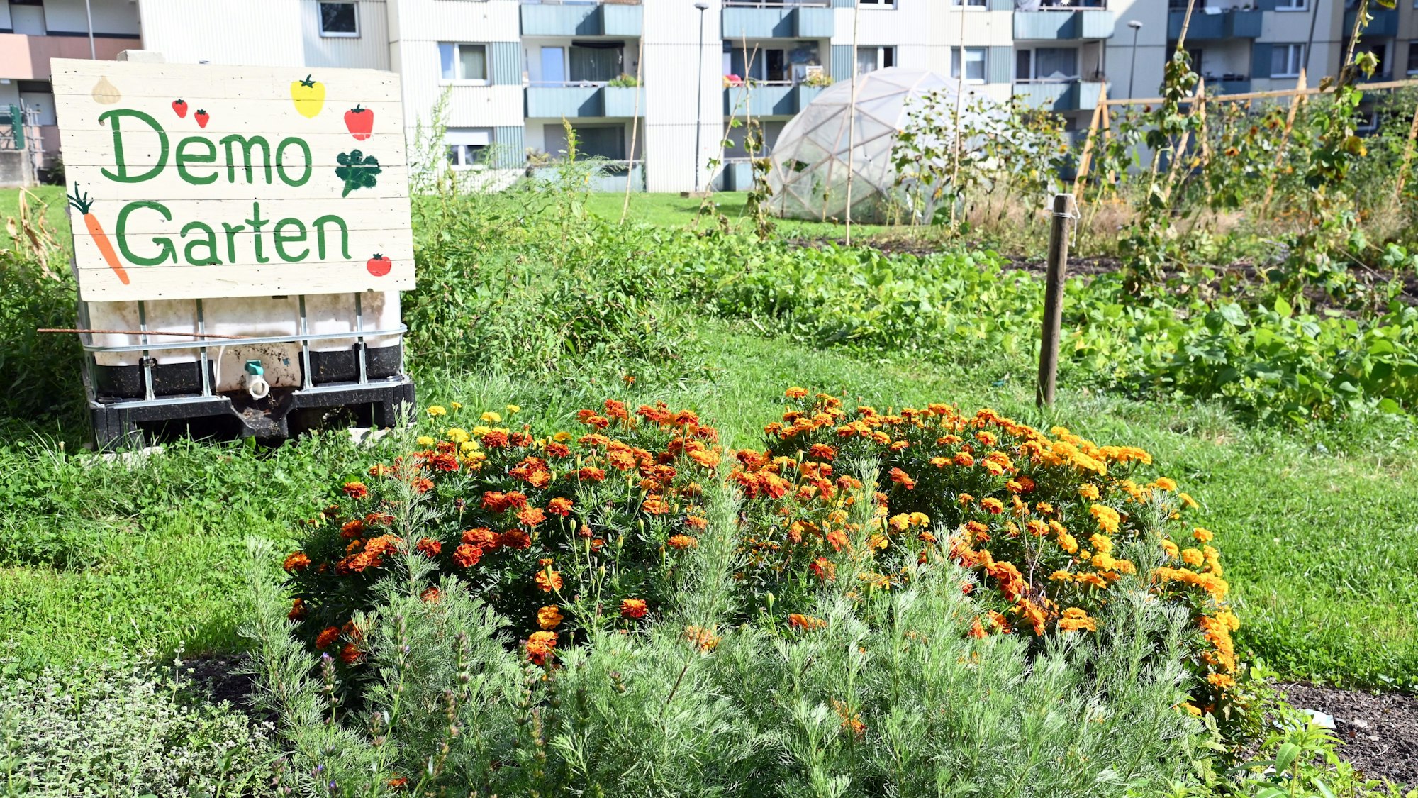 Im Demogarten in Finkenberg wird vieles angepflanzt.