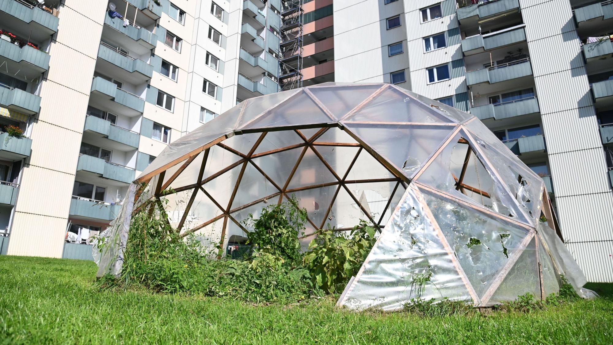 Das Gewächshaus im Demogarten in Köln-Finkenberg