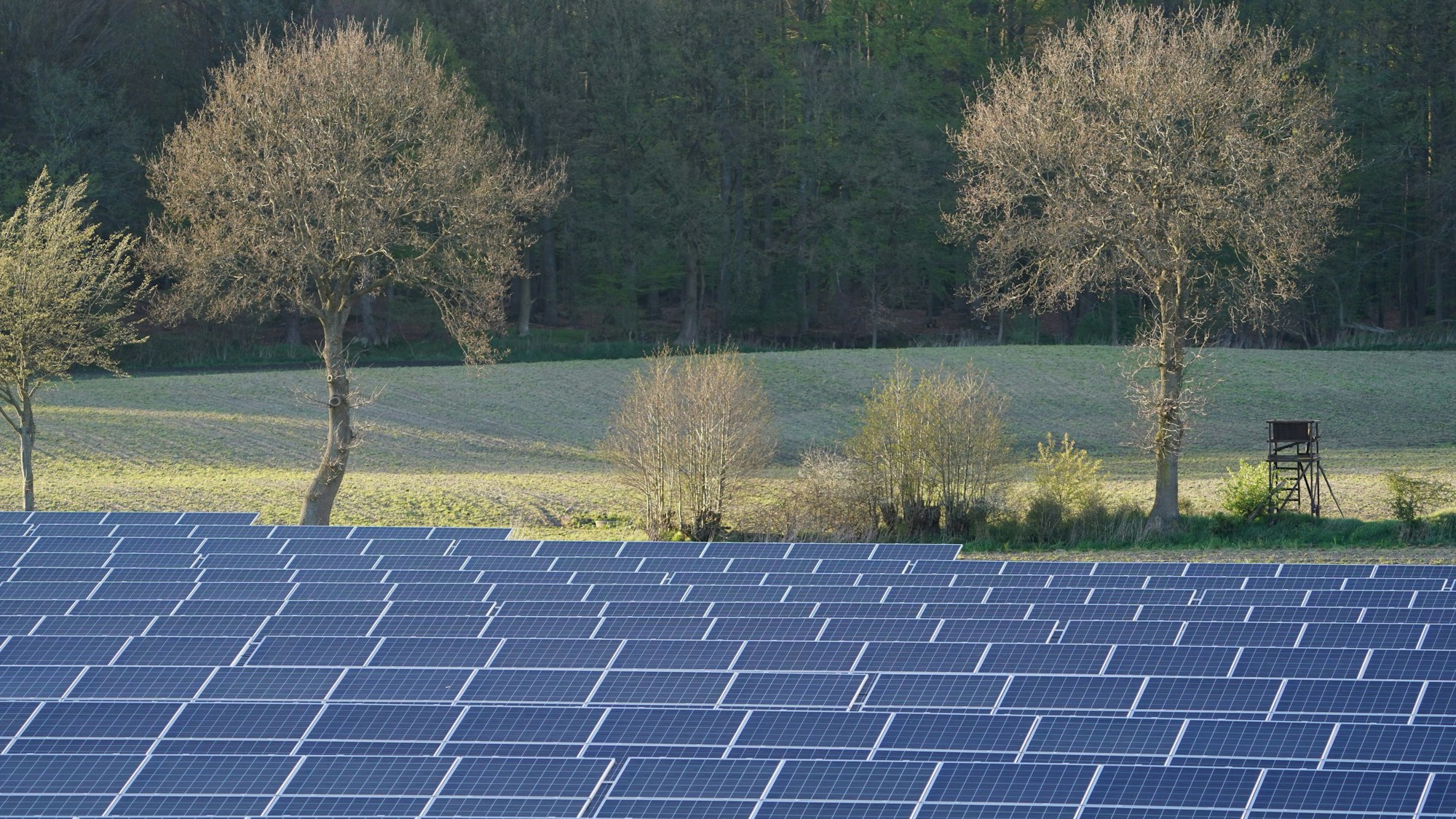 Photovoltaik-Anlagen stehen in einem Solarpark neben einer Wiese.