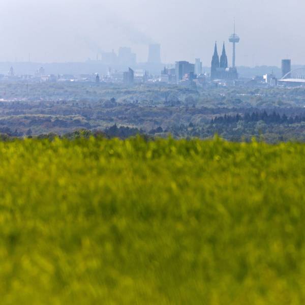 Die Stadt Köln ist schemenhaft am Horizont im Dunst zu erkennen, während im Vordergrund Wiesen im Ortsteil Oberschönrath grün leuchten.