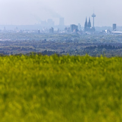 Die Stadt Köln ist schemenhaft am Horizont im Dunst zu erkennen, während im Vordergrund Wiesen im Ortsteil Oberschönrath grün leuchten.