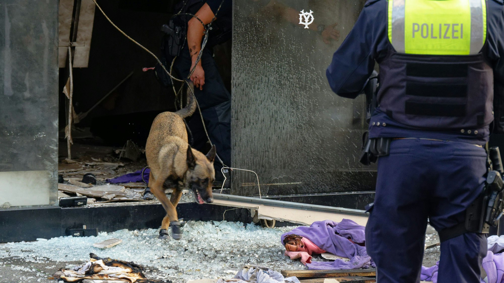 Ein Polizeihund sucht in den Trümmern eines Geschäftes. (Symbilbild)
