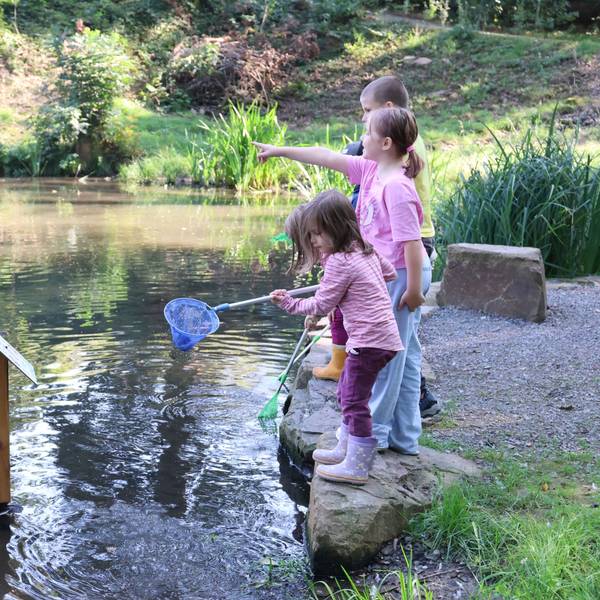 Neu im Waldbröler Wiedenhofpark ist diese von Findlingen eingefasste Minihalbinsel. Darauf ist das Wasser ganz nah – Schülerinnen und Schüler der Grundschule am Wiedenhof halten Ausschau nach Lebewesen im beliebten Entenweiher.