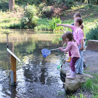Neu im Waldbröler Wiedenhofpark ist diese von Findlingen eingefasste Minihalbinsel. Darauf ist das Wasser ganz nah – Schülerinnen und Schüler der Grundschule am Wiedenhof halten Ausschau nach Lebewesen im beliebten Entenweiher.