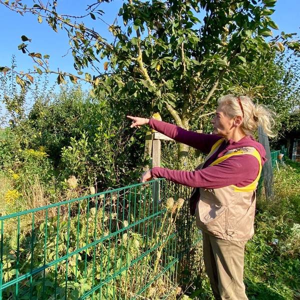 Birgit Jansen steht an einem Zaun und zeigt auf das Gehege, in dem Igel nach der Genesung wieder ausgewildert werden.