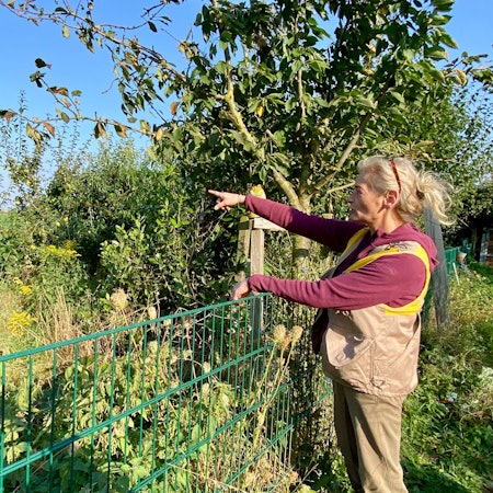 Birgit Jansen steht an einem Zaun und zeigt auf das Gehege, in dem Igel nach der Genesung wieder ausgewildert werden.