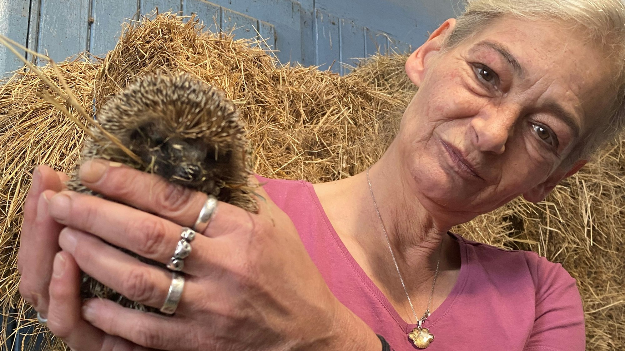 Birgit Jansen hält einen Igel in der Hand.