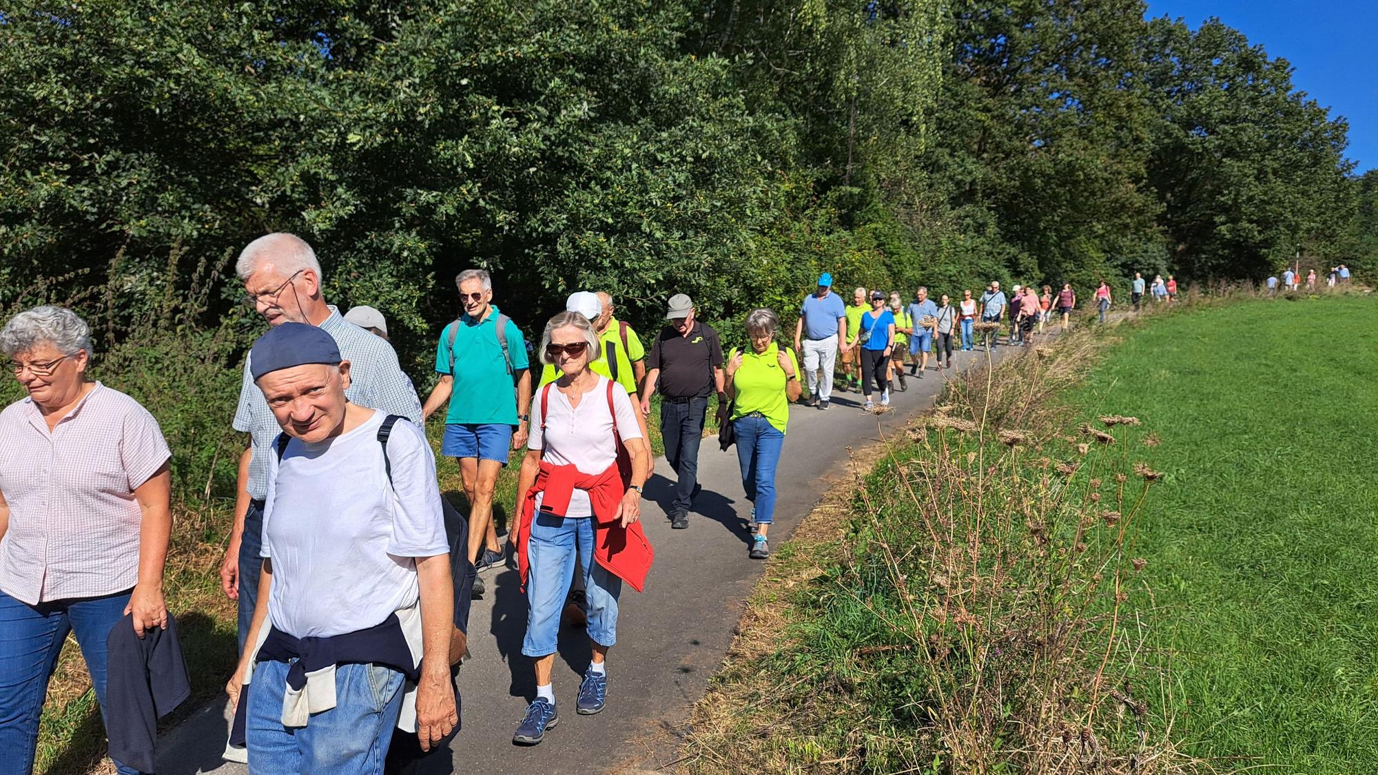 Das Foto zeigt Wanderer vor einer Waldkulisse