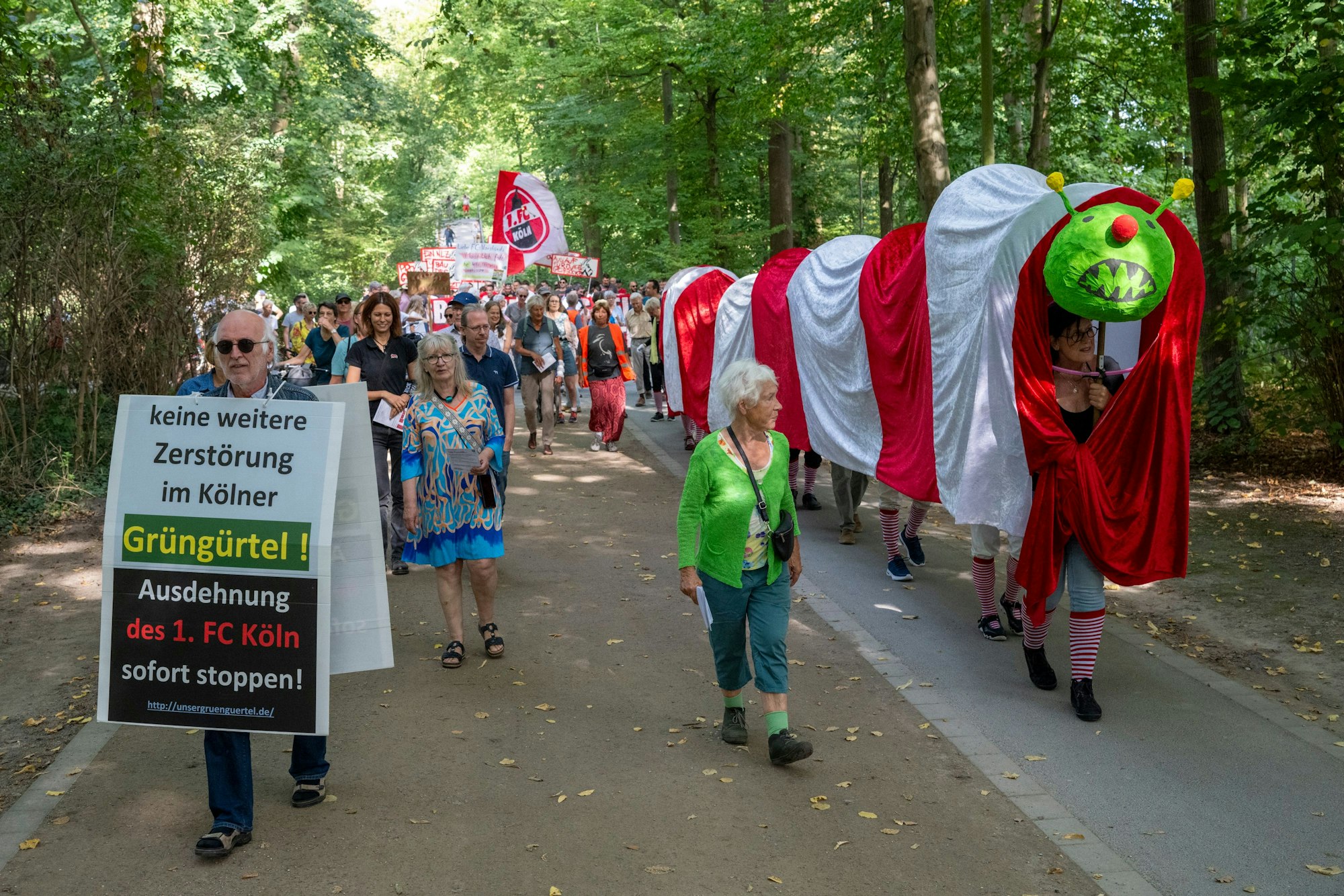 22.09.2024, Köln: Ultras des 1. FC Köln stören eine Demonstration der Bürgerinitivate „Grüngürtel für Alle“. Diese protestiert gegen den Bau des FC-Leistungszentrums im Grüngürtel. Eine rot-weiße Raupe Nimmersatt, symbolisch für das Anfressen des Grüngürtels, besucht die Orte, die der 1. FC Köln für seine Erweiterung betrachtet.