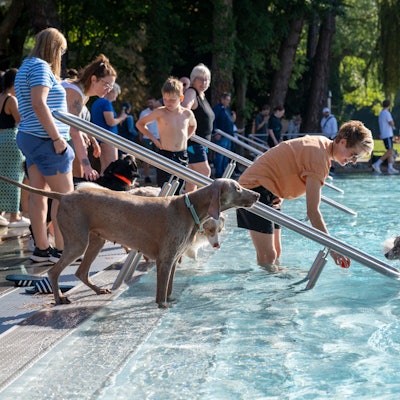 22.09.2024, Köln: Am Saisonende dürfen auch Hunde im Stadionbad schwimmen gehen. Foto: Uwe Weiser