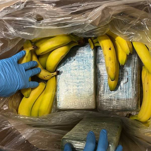 Ermittler zeigen Pakete mit Kokain versteckt in einer Bananenkiste - Teil eines Drogenfundes, der offenbar irrtümlich in zahlreichen Filialen eines Discounters im Rheinland gelandet ist.