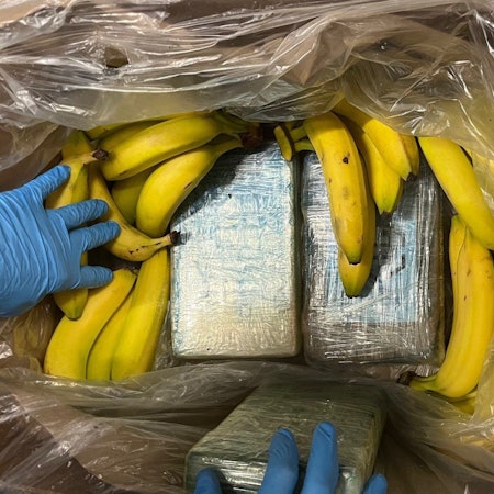 Ermittler zeigen Pakete mit Kokain versteckt in einer Bananenkiste - Teil eines Drogenfundes, der offenbar irrtümlich in zahlreichen Filialen eines Discounters im Rheinland gelandet ist.