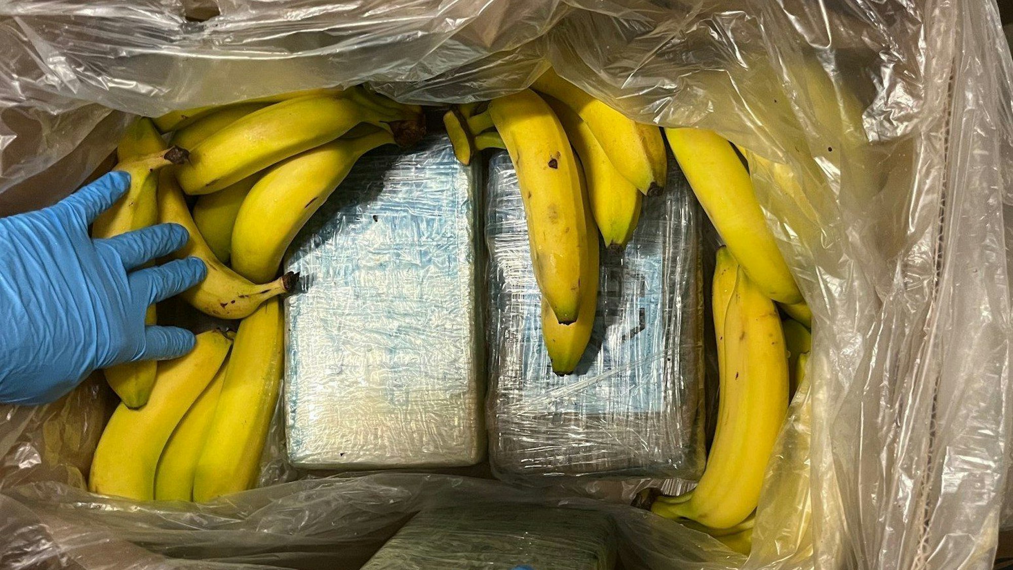 Ermittler zeigen Pakete mit Kokain versteckt in einer Bananenkiste - Teil eines Drogenfundes, der offenbar irrtümlich in zahlreichen Filialen eines Discounters im Rheinland gelandet ist.