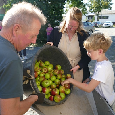 Menschen schütten Äpfel aus einer Bütt in eine Luke.
