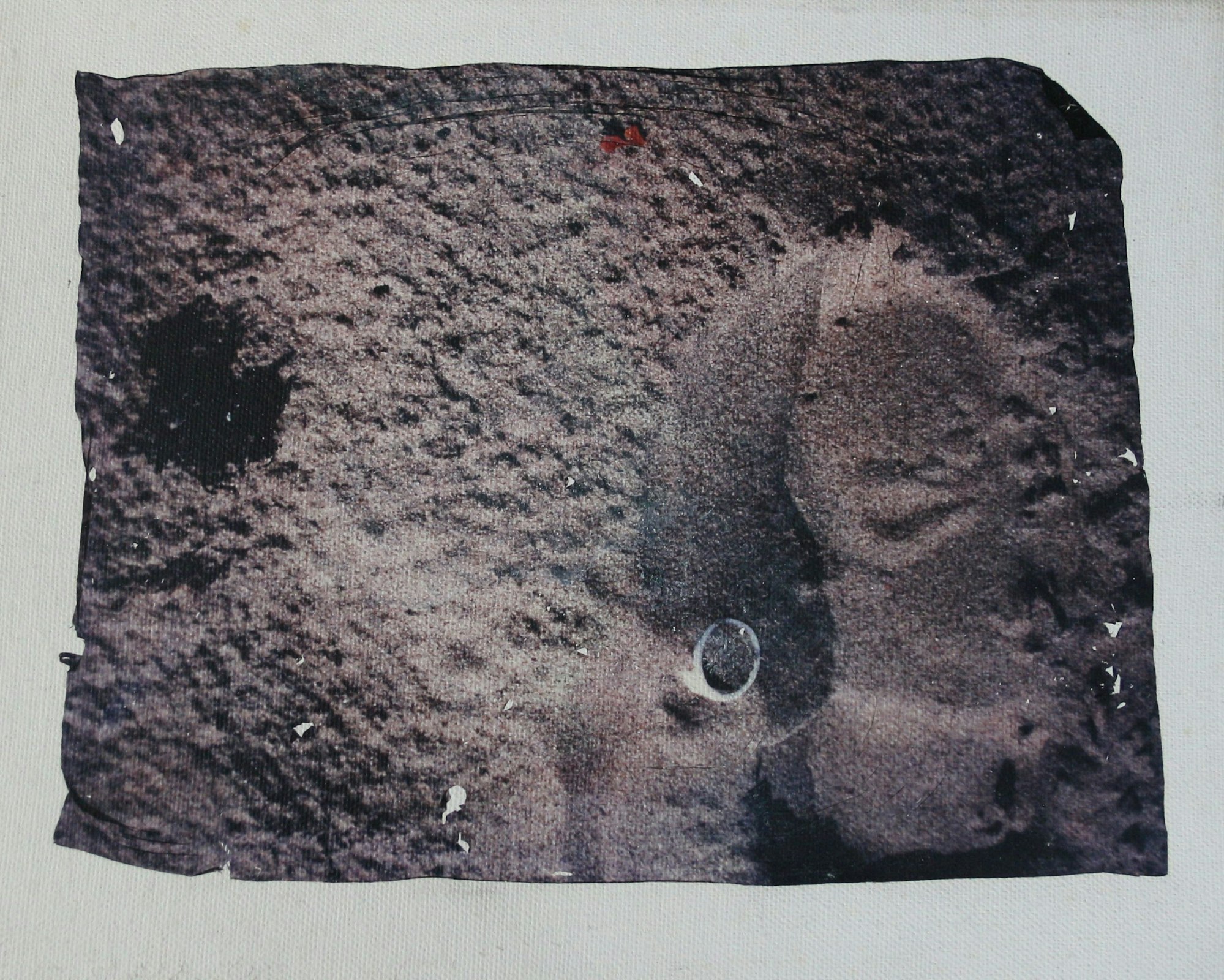 Auf dem Bild ist eine Arbeit des Künstlers zu sehen.