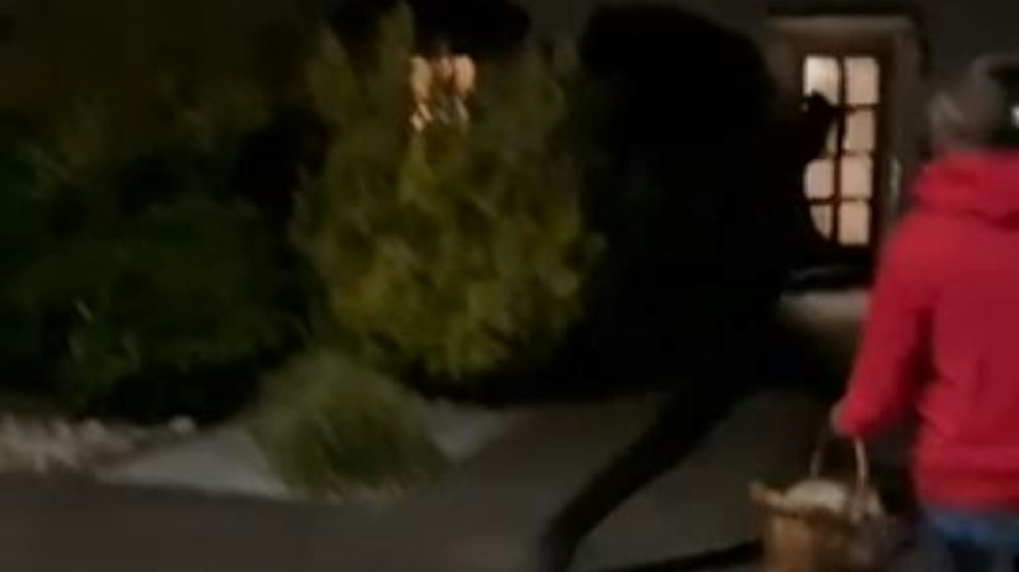 Hier flüchtet einer der Täter vorbei an einem Anwohner nach der Messer-Attacke vom Tatort.