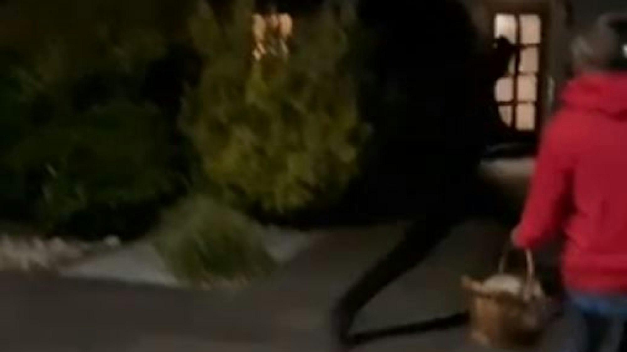 Nach der Messer-Attacke flüchtet einer der Täter vom Tatort. Ein Zeuge hatte ein Video angefertigt