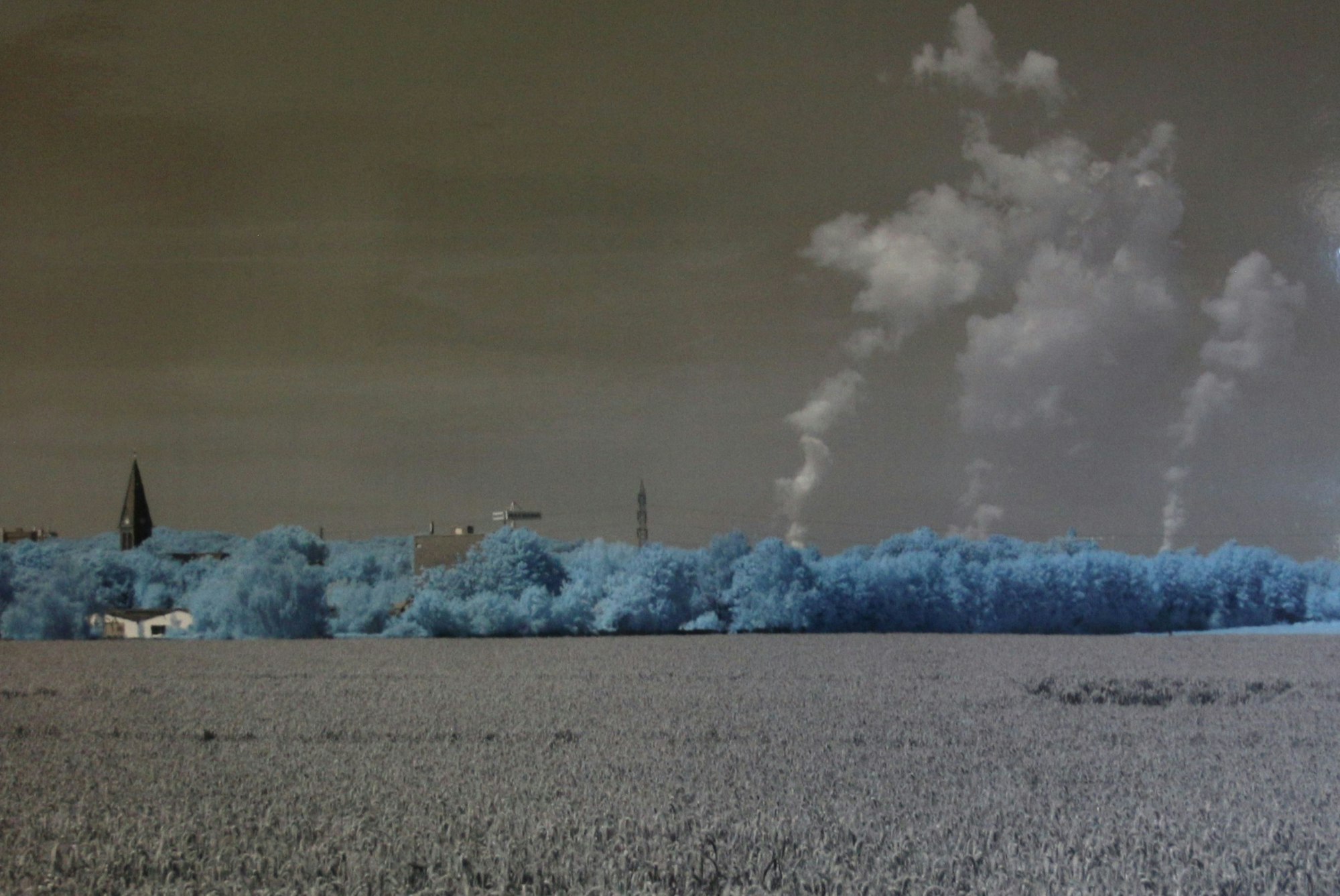 Auf dem Bild ist ein Werk des Künstlers zu sehen.