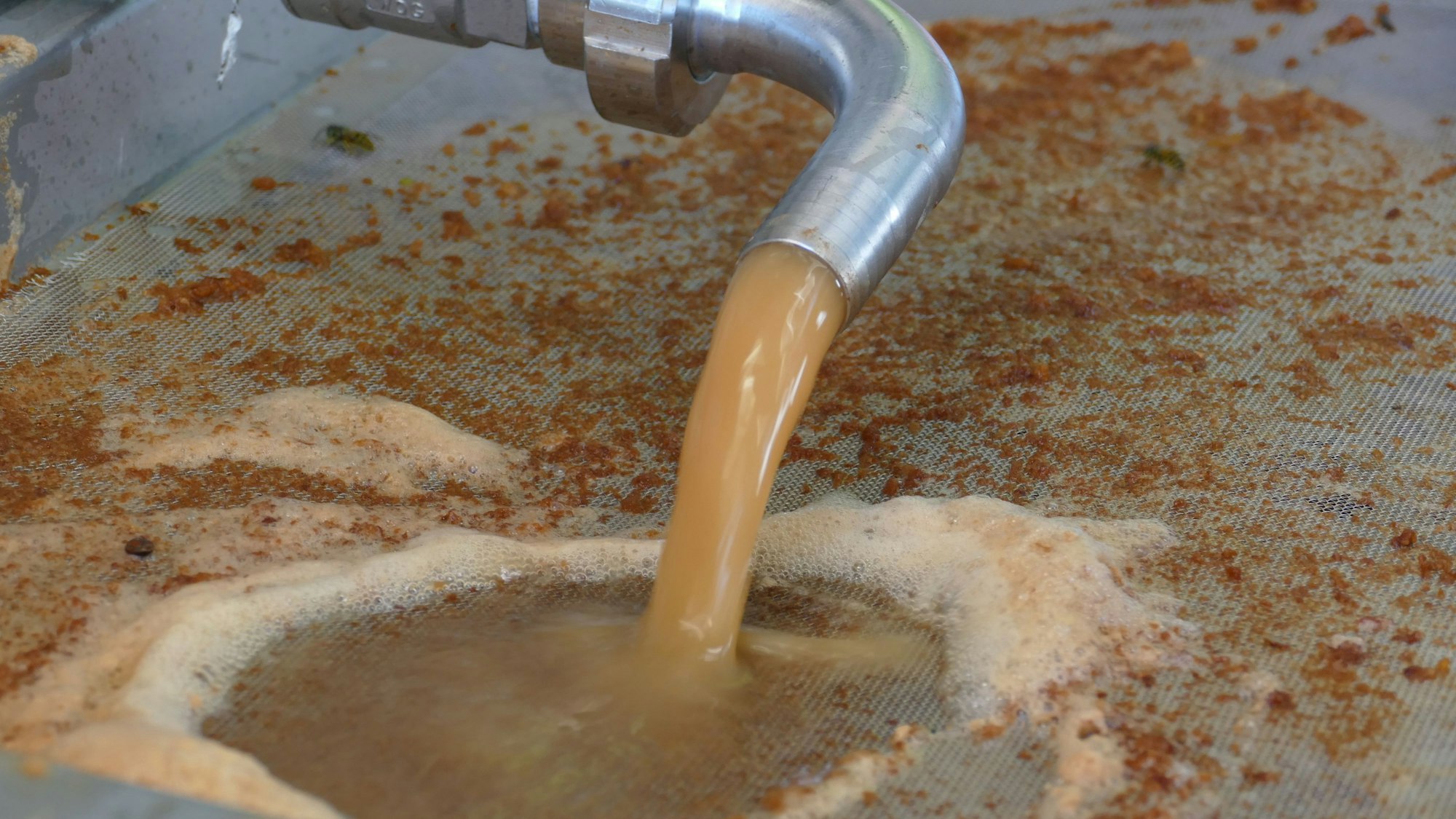 Frischer Apfelsaft kommt aus der Presse.