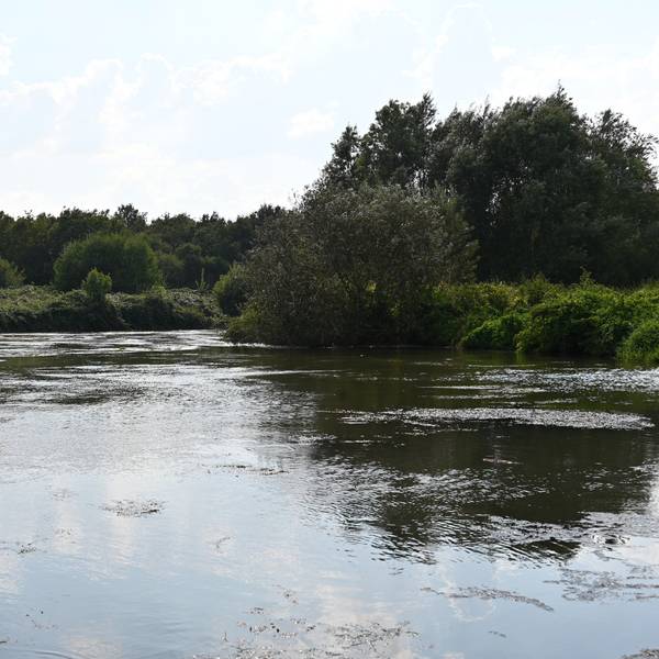 Zu sehen ist ein Fluss im Grünen.