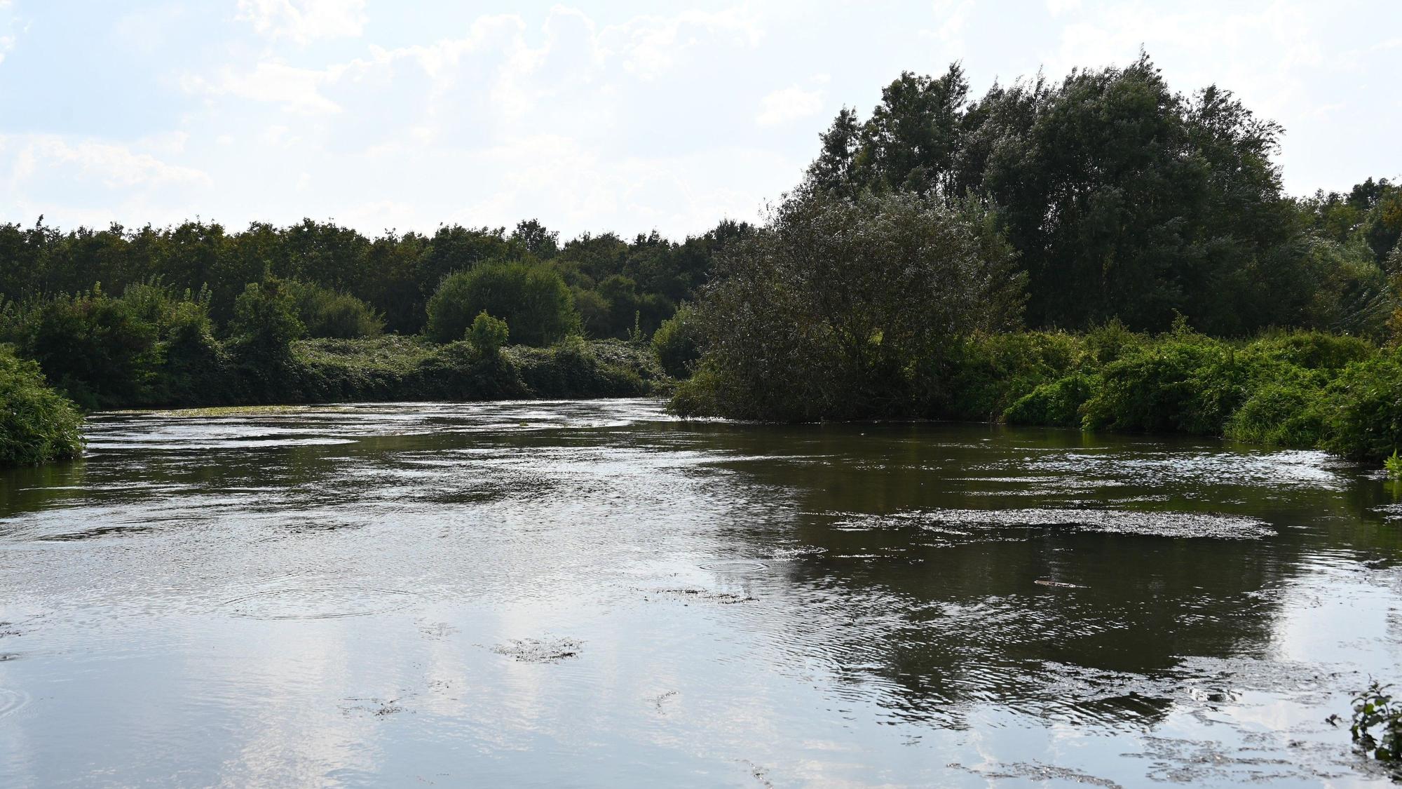 Zu sehen ist ein Fluss im Grünen.