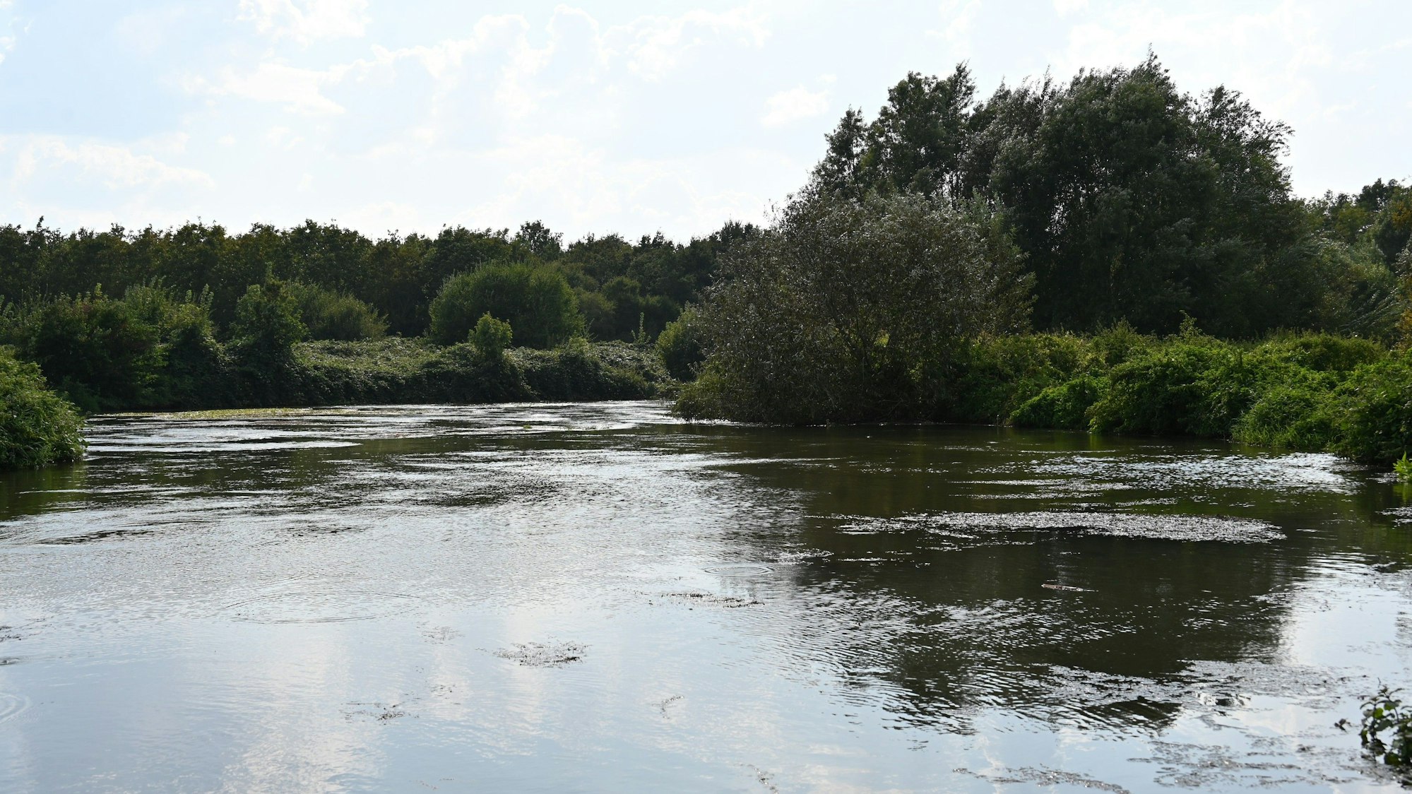 Zu sehen ist ein Fluss im Grünen.