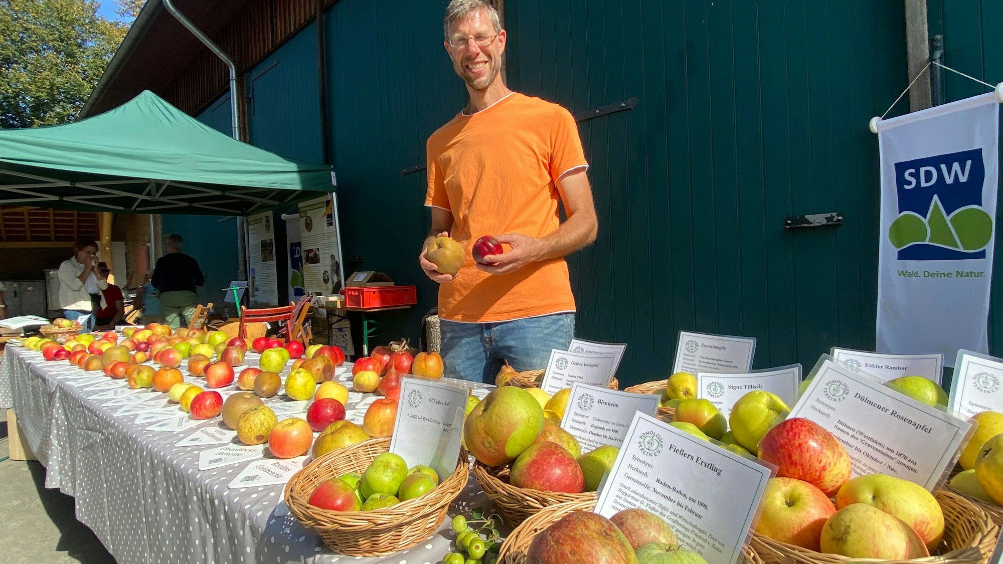 Jürgen Opschroef kann zahlreiche alte, oft weitgehend unbekannte Apfelsorten anhand von speziellen Merkmalen bestimmen