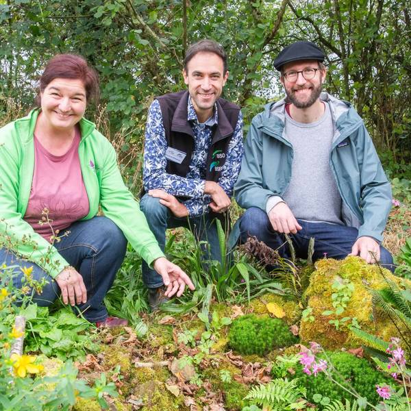 Im Moosbeet erklären Carola Hoppen, Florian Schöllnhammer und Stephan Hahn (vl.l) die einzelnen Moose und Farne.