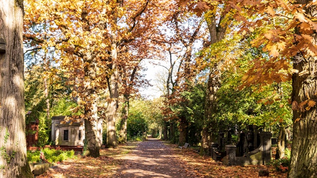 Weg auf dem Melatenfriedhof im Herbst.