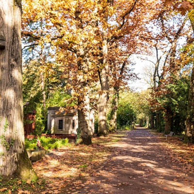 Weg auf dem Melatenfriedhof im Herbst.