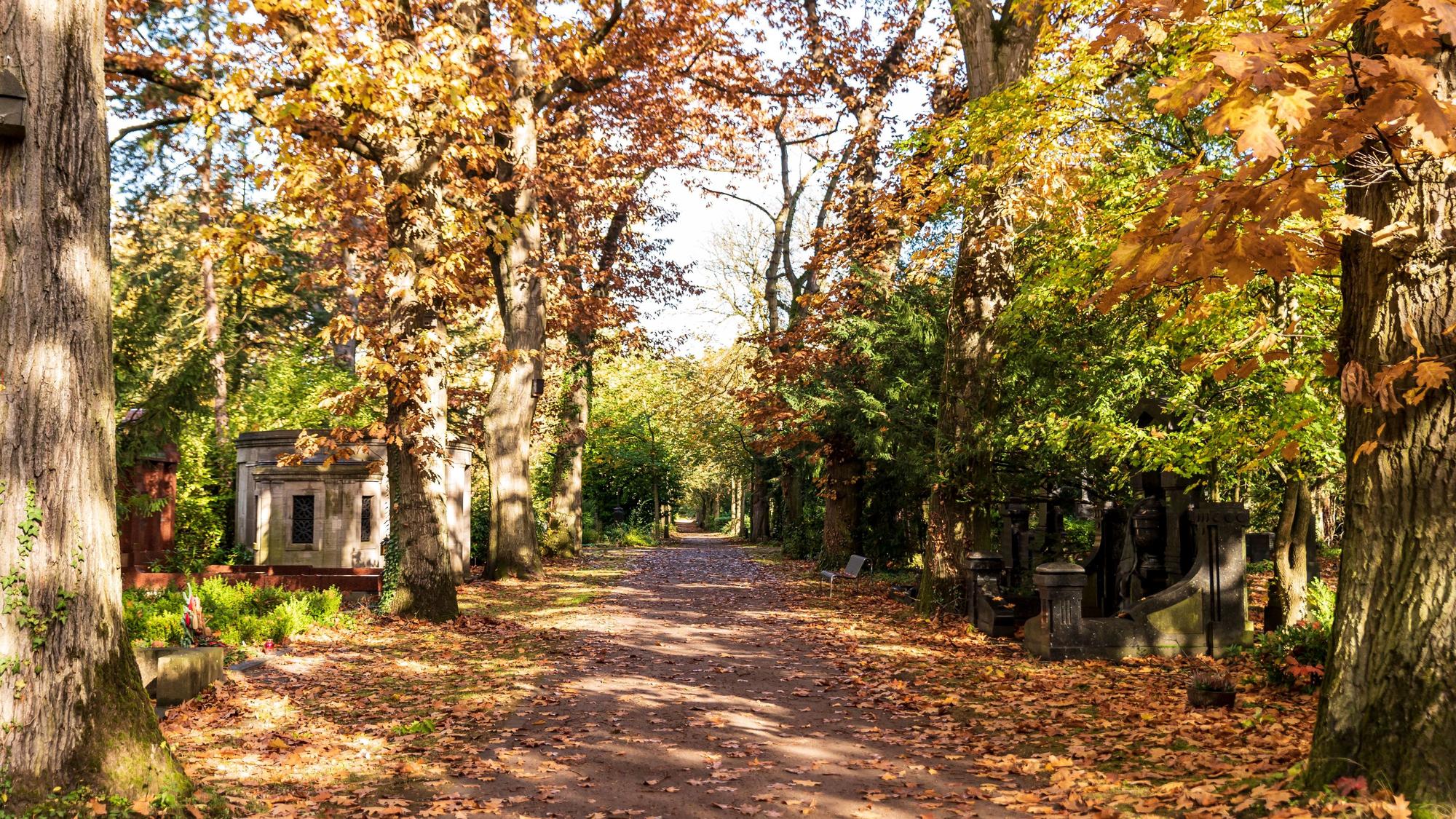 Weg auf dem Melatenfriedhof im Herbst.