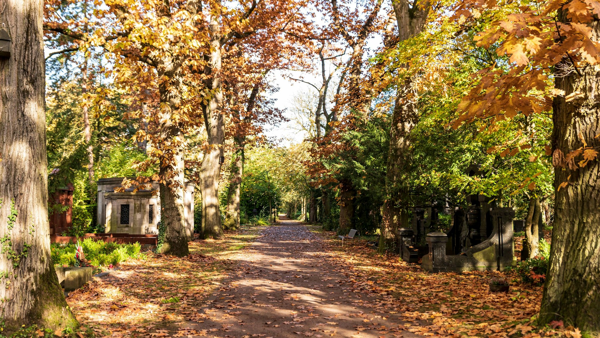 Weg auf dem Melatenfriedhof im Herbst