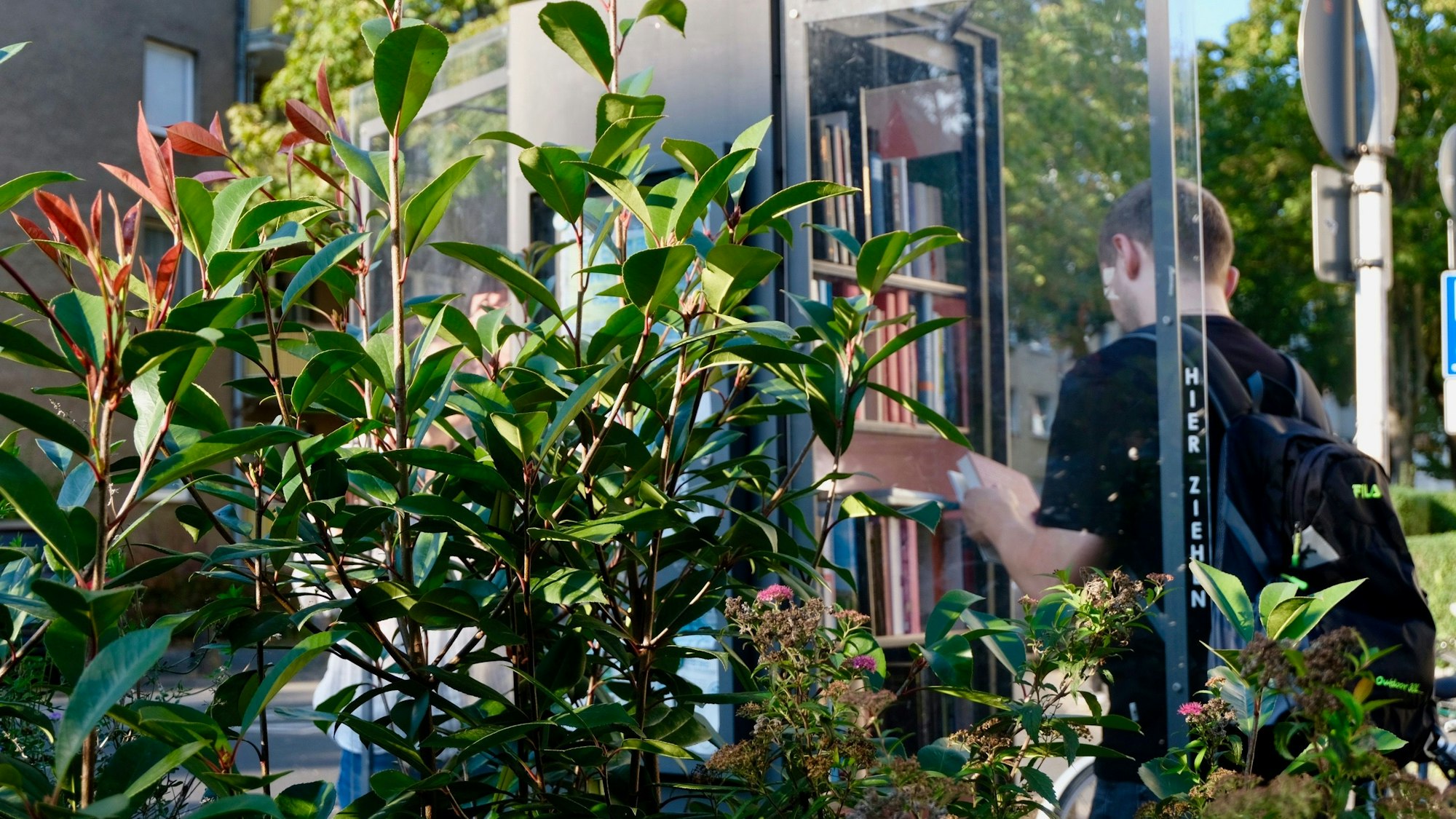 Der offene Bücherschrank am „Sternplatz“.