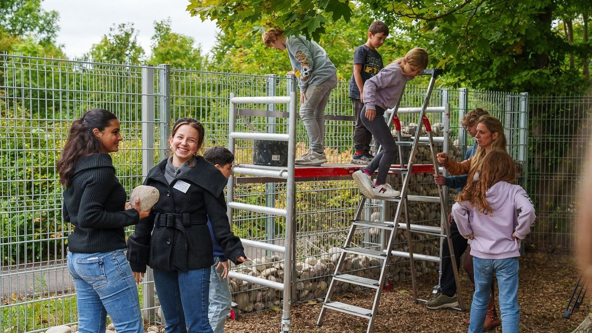 Schüler der Freien Naturschule Köln befüllen den ersten Abschnitt von Kölns größtem Insektenhotels mit Steinen.