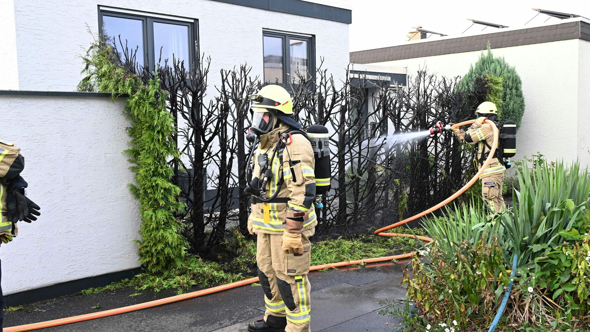 Feuerwehreinsatzkräfte vor einer verkohlten Hecke, im Hintergrund ein Wohnhaus.
