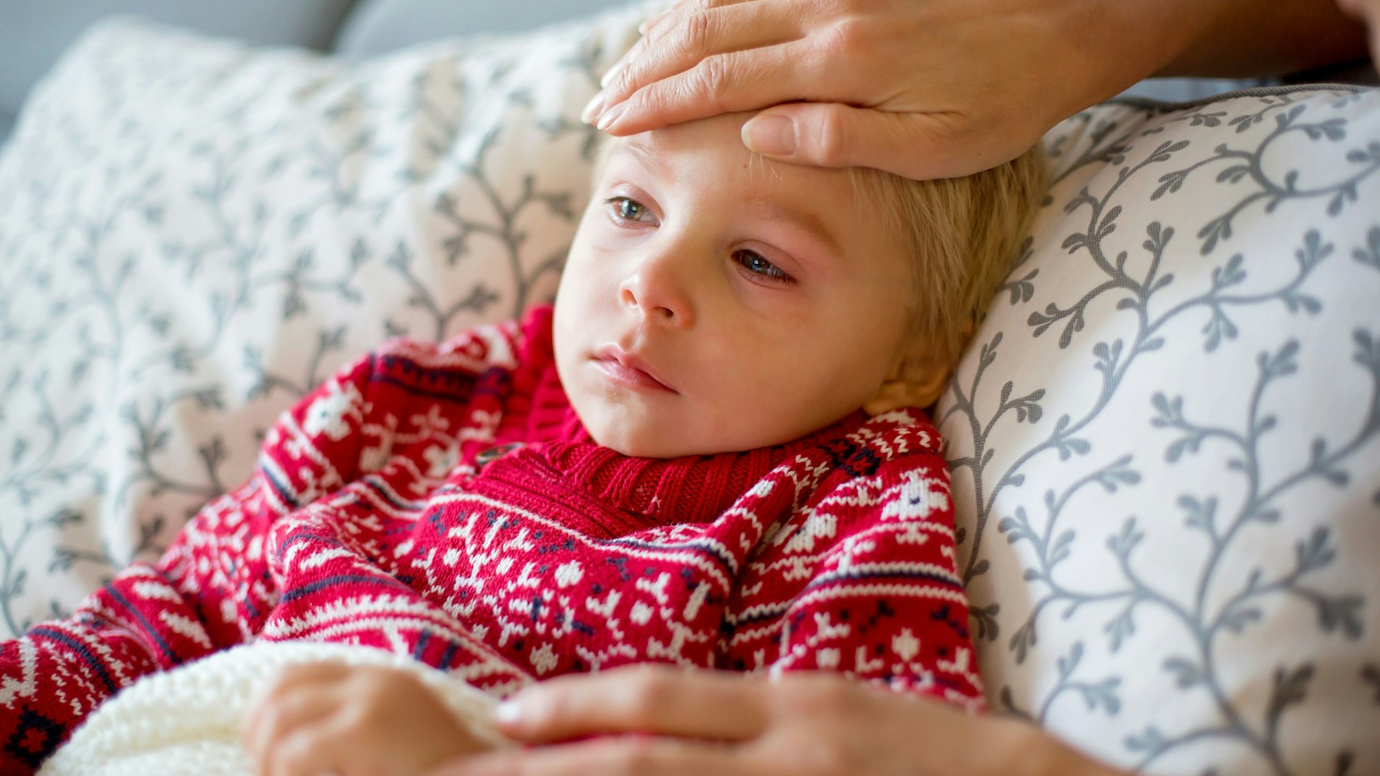 Krankes Kind, Kleinkind Junge liegt auf der Couch mit seinem weißen Welpen im Wohnzimmer mit Fieber, ruht zu Hause