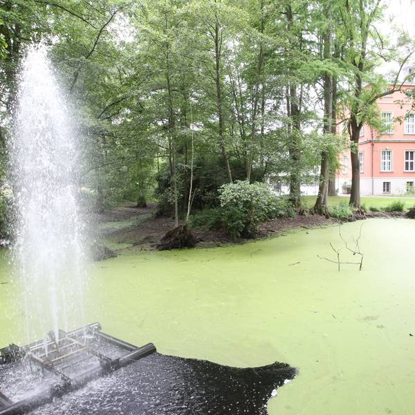Eine Wasserfläche vor einem historischen Gebäude
