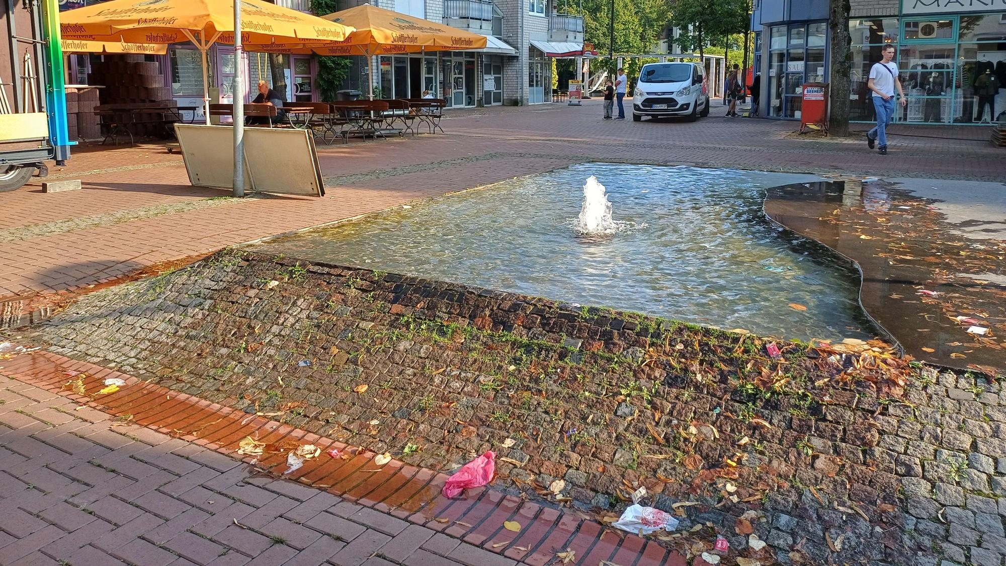 Der Brunnen im Brückerfeld funktioniert seit Herbst wieder, „Future for Leichlingen“ fordert mehr Bäume.