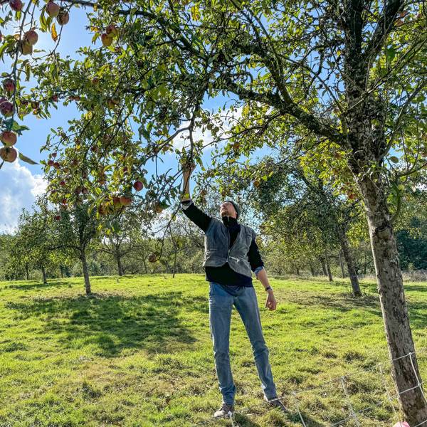 Jens Herrmann (41) ist Lehrer an der Sekundarschule im Walbachtal in Engelskirchen-Ründeroth. Als einer der ersten Lehrer in NRW hat er sich zum zertifizierten Obstwiesenwart ausbilden lassen.