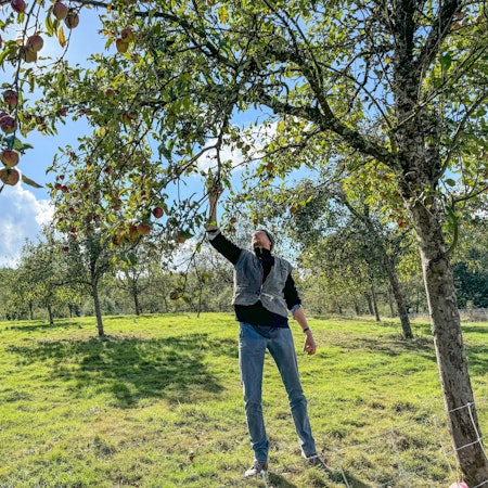 Jens Herrmann (41) ist Lehrer an der Sekundarschule im Walbachtal in Engelskirchen-Ründeroth. Als einer der ersten Lehrer in NRW hat er sich zum zertifizierten Obstwiesenwart ausbilden lassen.