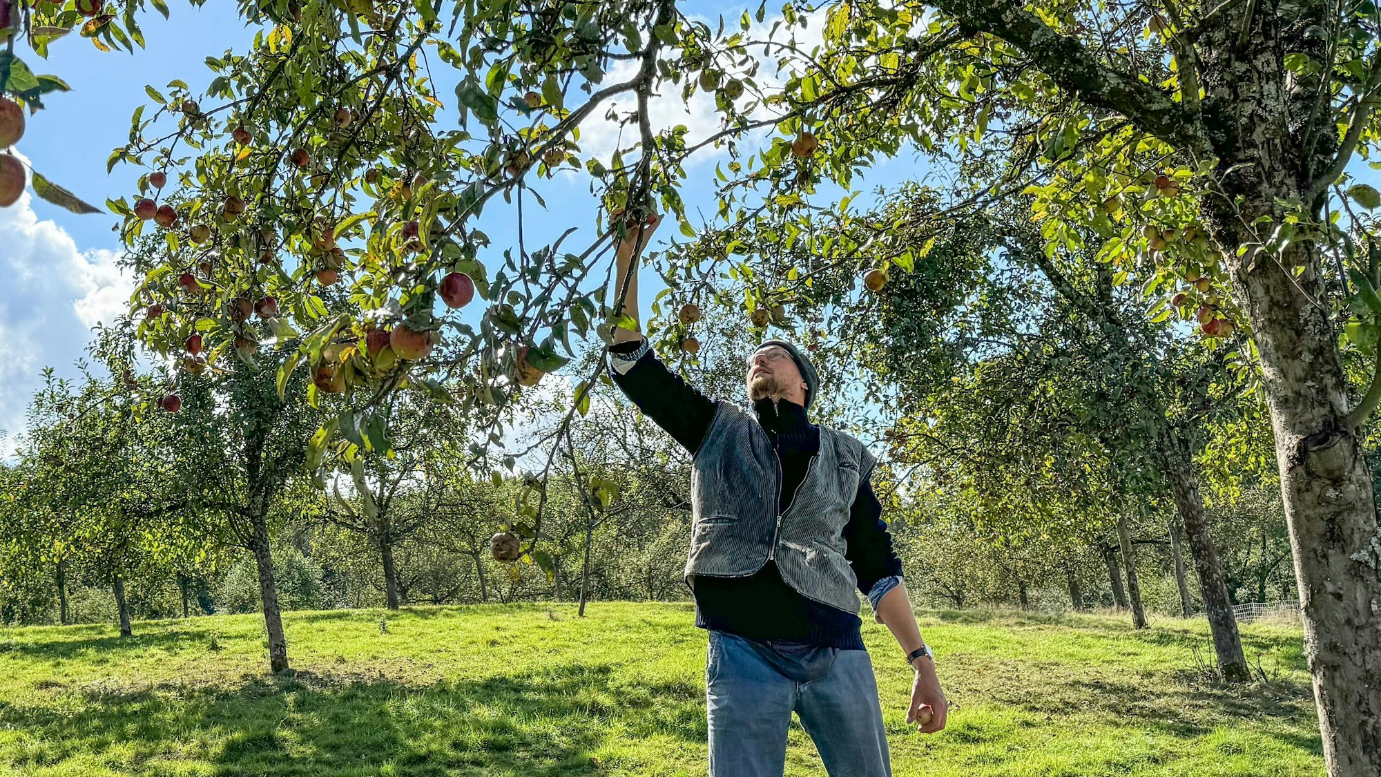 Jens Herrmann (41) ist Lehrer an der Sekundarschule im Walbachtal in Engelskirchen-Ründeroth. Als einer der ersten Lehrer in NRW hat er sich zum zertifizierten Obstwiesenwart ausbilden lassen.
