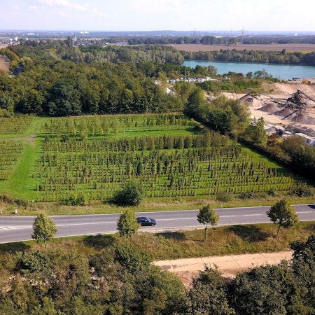 Auf diesem Grundstück an der Spicher Straße zwischen Niederkassel-Ort und Uckendorf soll die Zentrale Unterbringungseinrichtung (ZUE) des Landes für bis zu 350 Geflüchtete entstehen.