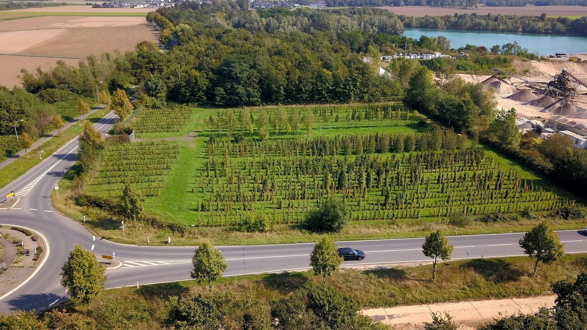 Auf diesem Grundstück an der Spicher Straße zwischen Niederkassel-Ort und Uckendorf soll die Zentrale Unterbringungseinrichtung (ZUE) des Landes für bis zu 350 Geflüchtete entstehen.