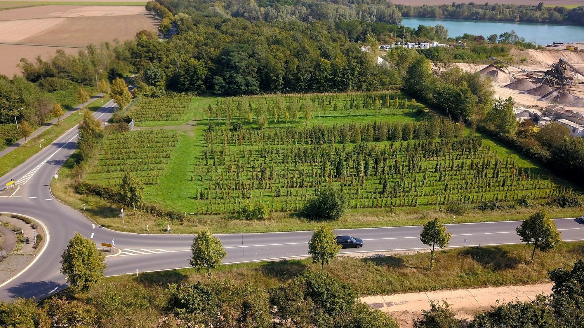 Auf diesem Grundstück an der Spicher Straße zwischen Niederkassel-Ort und Uckendorf soll die Zentrale Unterbringungseinrichtung (ZUE) des Landes für bis zu 350 Geflüchtete entstehen.