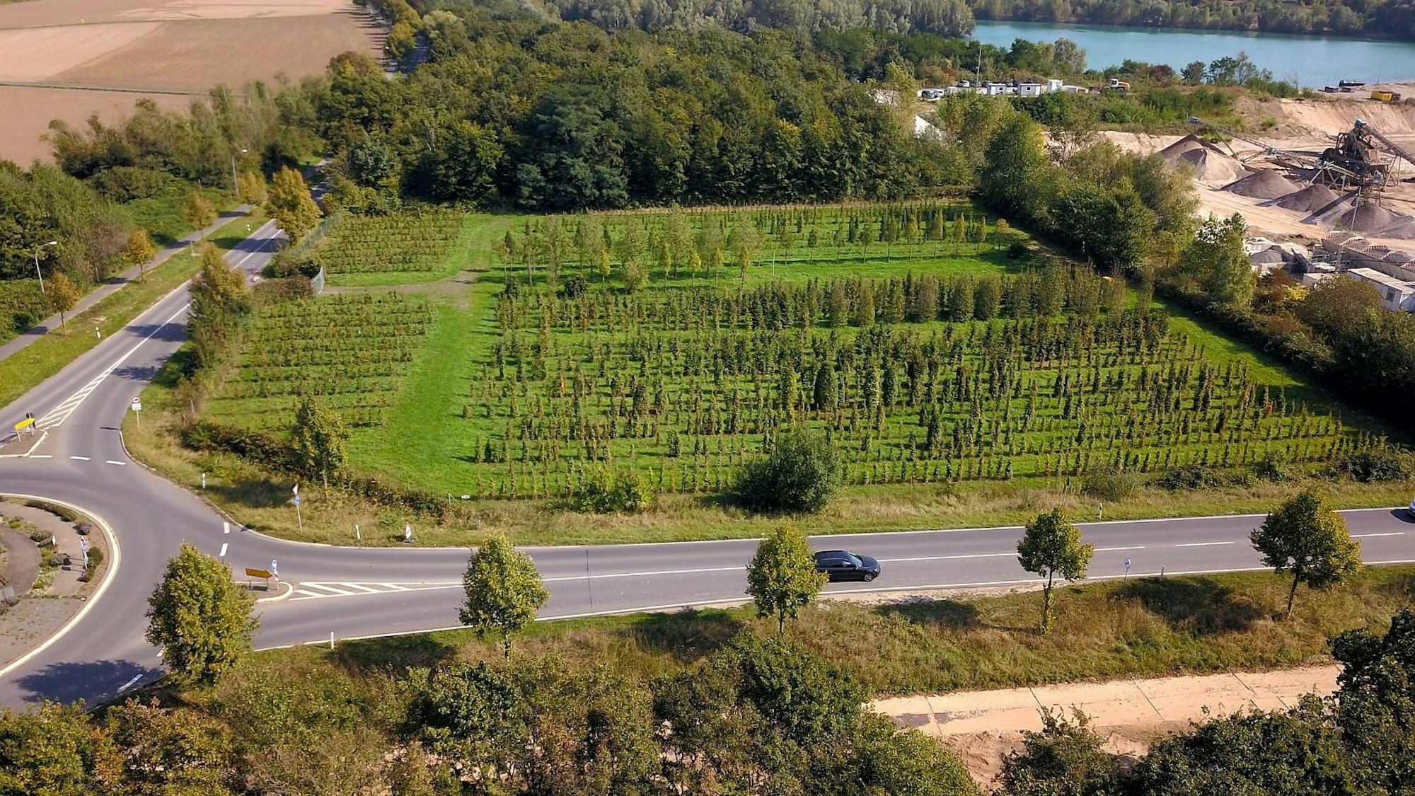 Auf diesem Grundstück an der Spicher Straße zwischen Niederkassel-Ort und Uckendorf soll die Zentrale Unterbringungseinrichtung (ZUE) des Landes für bis zu 350 Geflüchtete entstehen.