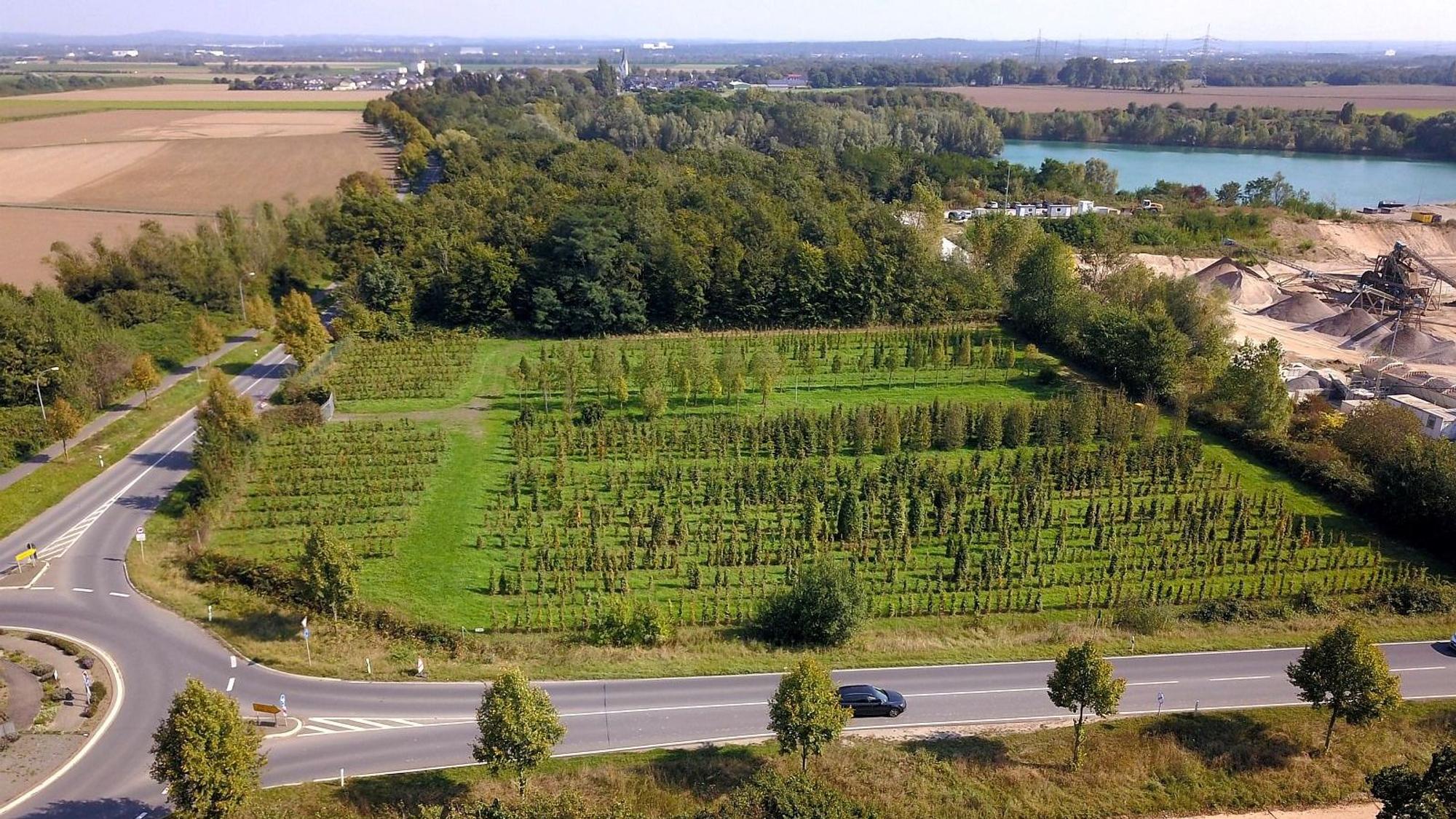 Auf diesem Grundstück an der Spicher Straße zwischen Niederkassel-Ort und Uckendorf soll die Zentrale Unterbringungseinrichtung (ZUE) des Landes für bis zu 350 Geflüchtete entstehen.
