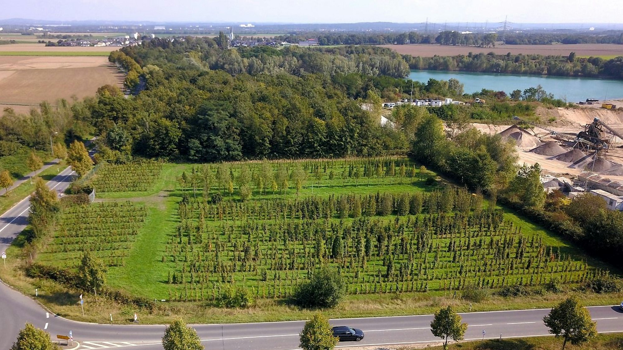 Auf diesem Grundstück an der Spicher Straße zwischen Niederkassel-Ort und Uckendorf soll die Zentrale Unterbringungseinrichtung (ZUE) des Landes für bis zu 350 Geflüchtete entstehen.