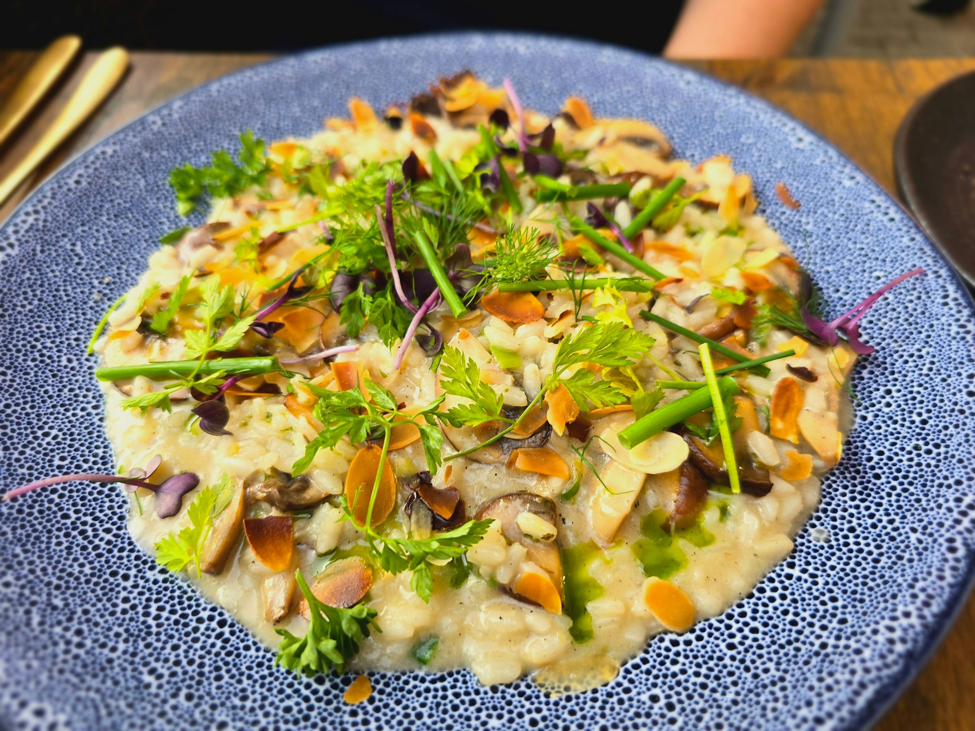 Risotto & Waldpilze
Weißweinrisotto, Waldpilze, Schnittlauchöl, Parmesan, Mandeln & Kresse 18,90 €